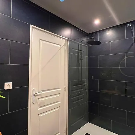 Zen Evasion Apartment Cholet
